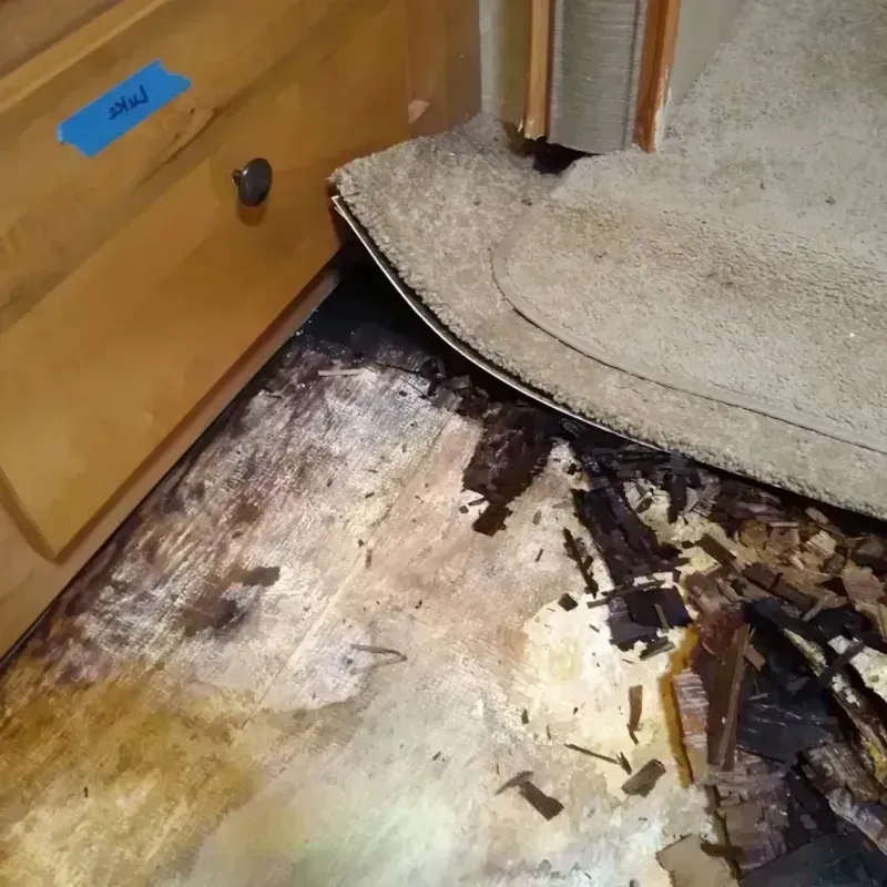 Best Wood Floor Water Damage Service in Montgomery County, AR